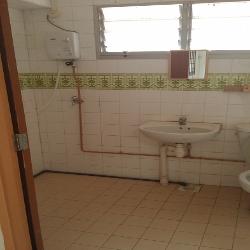 Blk 491D Tampines Street 45 (Tampines), HDB 5 Rooms #44855782